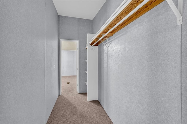 1437 Frank Lovell Rd, Clarkesville, GA 30523 - walk in closet with carpet floors