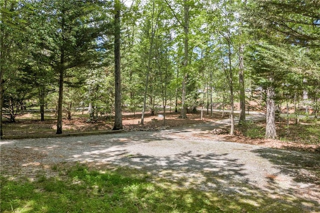 1437 Frank Lovell Rd, Clarkesville, GA 30523 - view of yard