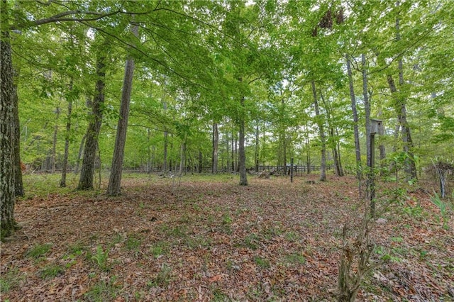 1437 Frank Lovell Rd, Clarkesville, GA 30523 - view of landscape featuring a view of trees