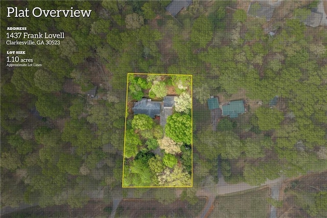 1437 Frank Lovell Rd, Clarkesville, GA 30523 - aerial view