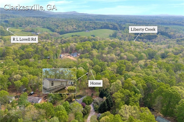 1437 Frank Lovell Rd, Clarkesville, GA 30523 - drone / aerial view featuring a wooded view