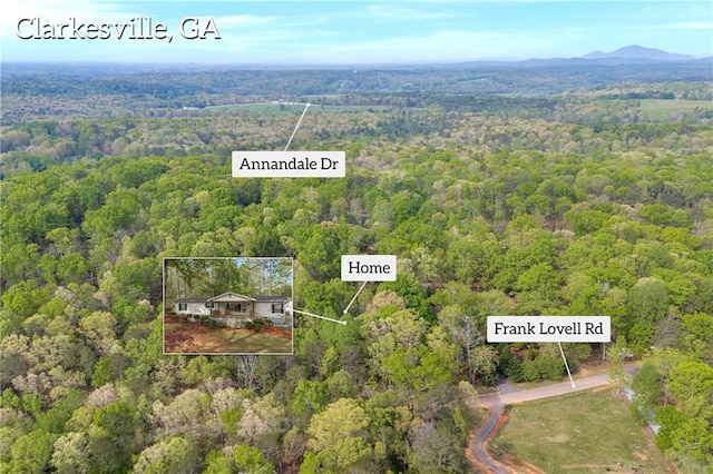 1437 Frank Lovell Rd, Clarkesville, GA 30523 - birds eye view of property featuring a view of trees and a mountain view