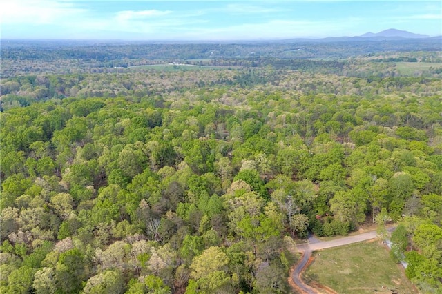 1437 Frank Lovell Rd, Clarkesville, GA 30523 - birds eye view of property featuring a view of trees and a mountain view