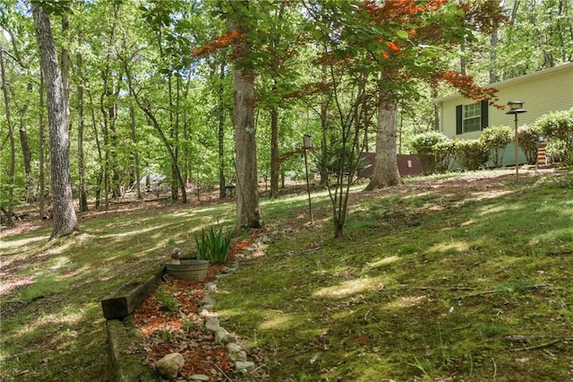 1437 Frank Lovell Rd, Clarkesville, GA 30523 - view of yard