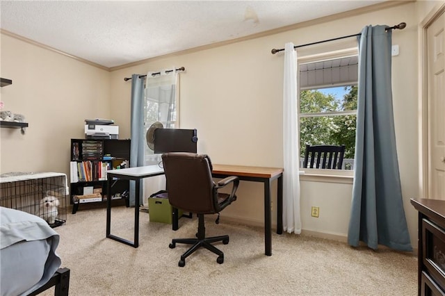 210 N Wesleyan Cir, Macon, GA 31210 - office area featuring carpet floors, ornamental molding, and a textured ceiling
