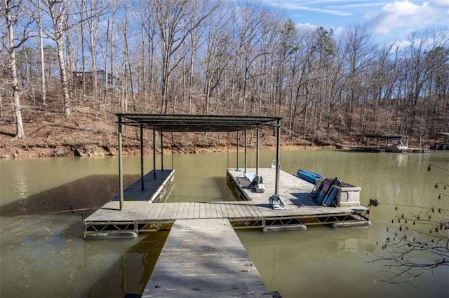 dock area featuring a water view