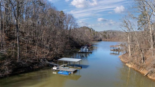 dock area featuring a water view