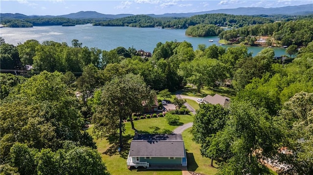 1008 Lakeview Acres, Hiawassee, GA 30546 - bird's eye view of a water and mountain view and a heavily wooded area