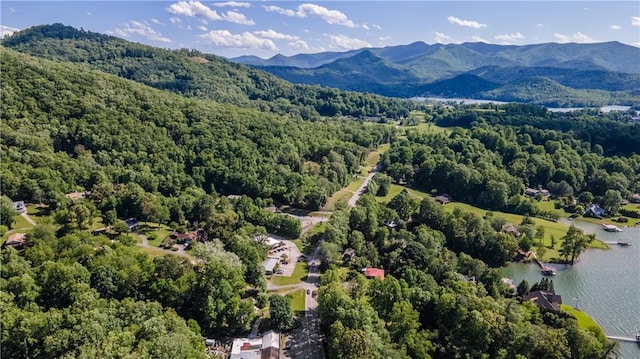 1008 Lakeview Acres, Hiawassee, GA 30546 - bird's eye view of a forest and a water and mountain view