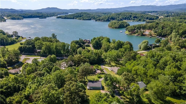 1008 Lakeview Acres, Hiawassee, GA 30546 - drone / aerial view of a water and mountain view and a forest