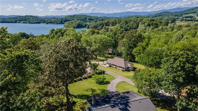 1008 Lakeview Acres, Hiawassee, GA 30546 - drone / aerial view of a forest and a large body of water