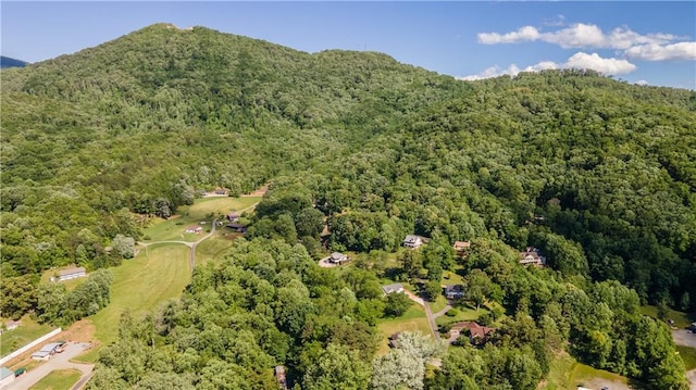 1008 Lakeview Acres, Hiawassee, GA 30546 - aerial view of property and surrounding area featuring a forest and a mountain backdrop