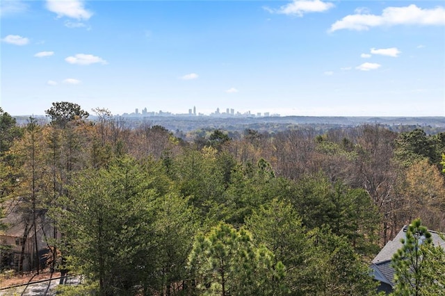 4100 Paces Walk SE Unit 4306, Atlanta, GA 30339 - view of tree filled area