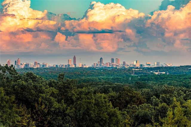 4100 Paces Walk SE Unit 4306, Atlanta, GA 30339 - skyline view with a forest