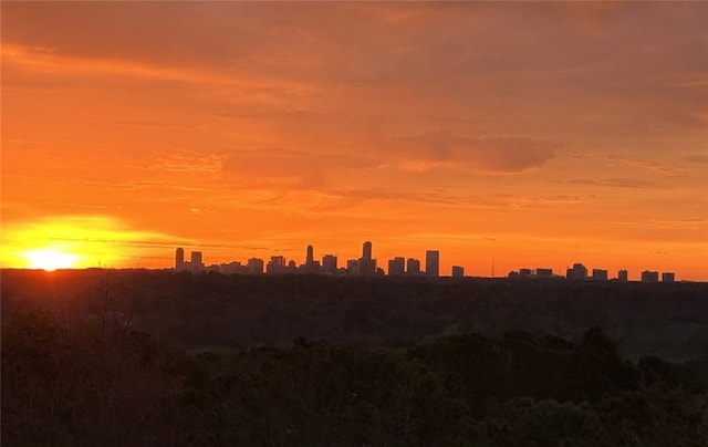 4100 Paces Walk SE Unit 4306, Atlanta, GA 30339 - view of nature