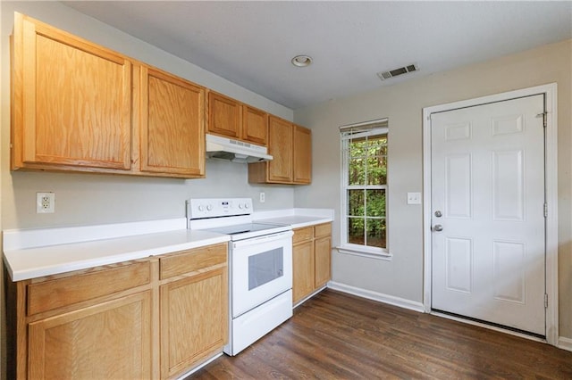 10247 Deep Creek Pl, Union City, GA 30291 - kitchen with white range with electric stovetop, under cabinet range hood, dark wood finished floors, light countertops, and recessed lighting
