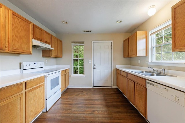 10247 Deep Creek Pl, Union City, GA 30291 - kitchen with white appliances, under cabinet range hood, dark wood finished floors, a sink, and light countertops