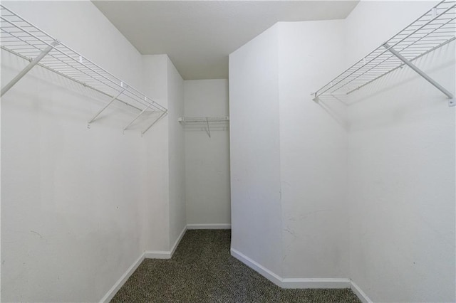 10247 Deep Creek Pl, Union City, GA 30291 - walk in closet with carpet flooring
