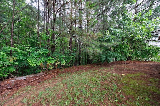 10247 Deep Creek Pl, Union City, GA 30291 - view of yard featuring a forest view