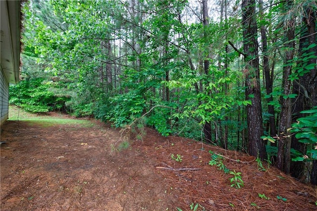 10247 Deep Creek Pl, Union City, GA 30291 - view of local wilderness