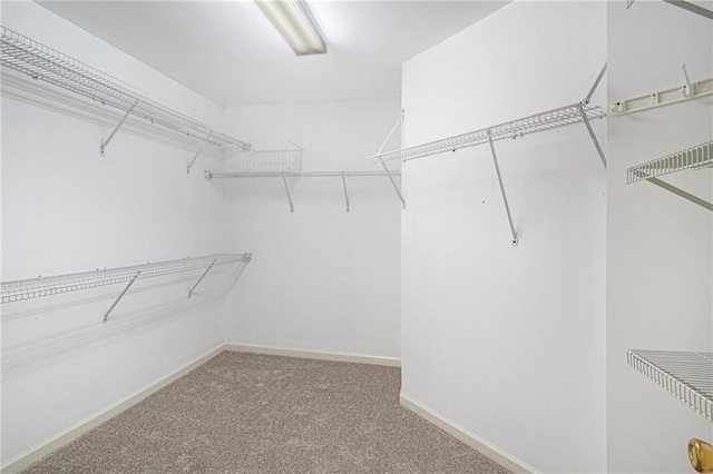 200 Ridge Bluff Ln, Suwanee, GA 30024 - walk in closet with carpet floors