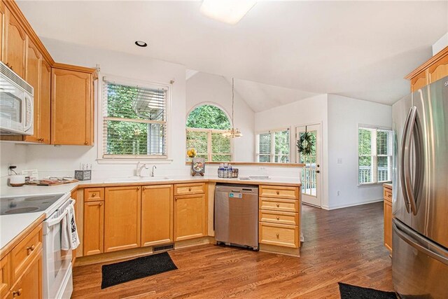 200 Ridge Bluff Ln, Suwanee, GA 30024 - kitchen featuring appliances with stainless steel finishes, wood finished floors, a peninsula, healthy amount of natural light, and lofted ceiling