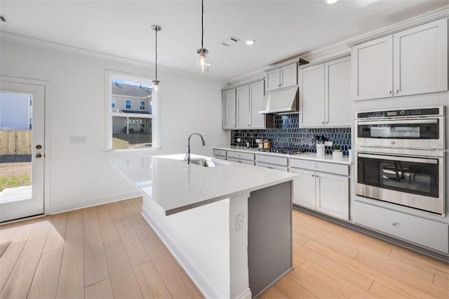 kitchen featuring light wood finished floors, appliances with stainless steel finishes, under cabinet range hood, and a sink