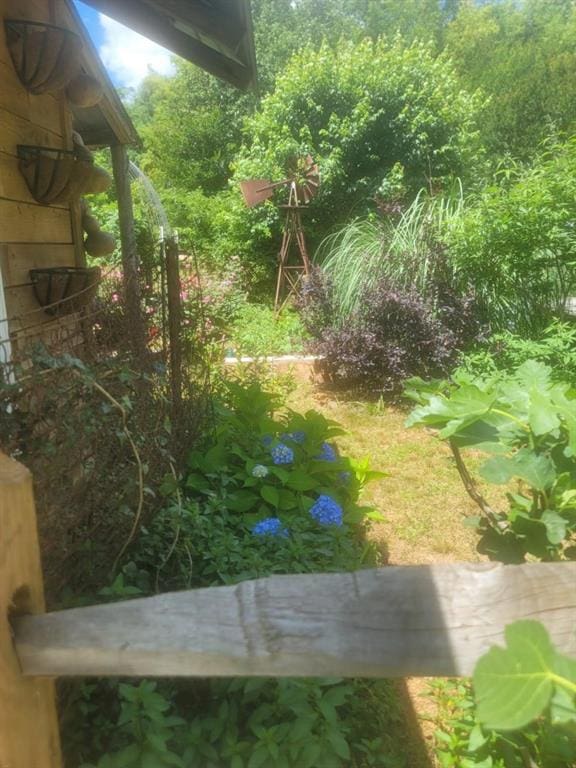 1530 Unity Church Cir, Maysville, GA 30558 - view of yard