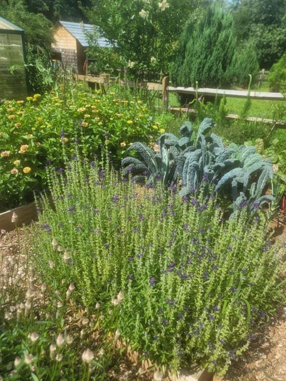 1530 Unity Church Cir, Maysville, GA 30558 - view of yard