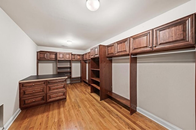 1323 Frey Lake Ct, Kennesaw, GA 30144 - spacious closet featuring light wood-style floors