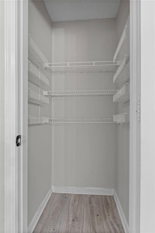 walk in closet with light hardwood / wood-style flooring