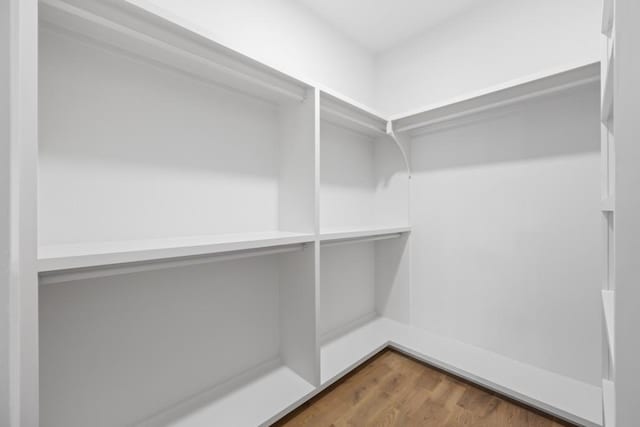 walk in closet with wood finished floors