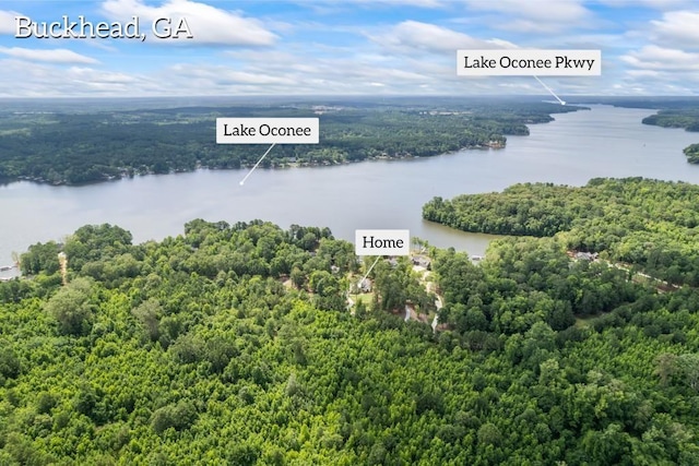 bird's eye view with a water view and a forest view