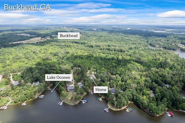 aerial view with a water view and a view of trees