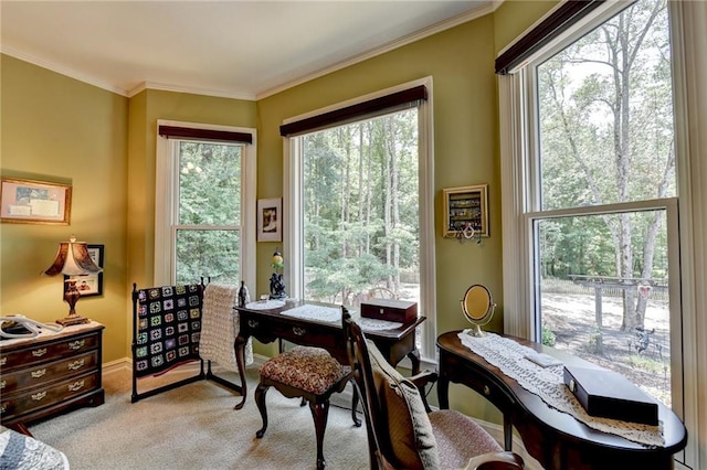 interior space with light carpet and crown molding