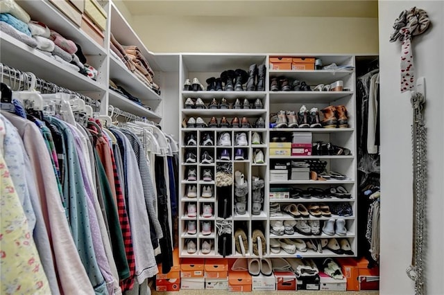 view of walk in closet