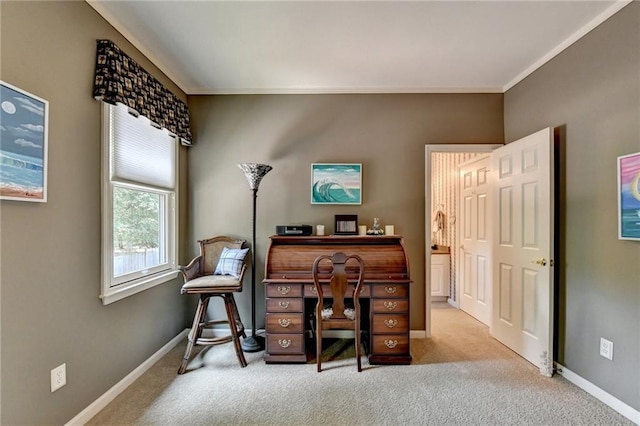 carpeted office featuring ornamental molding