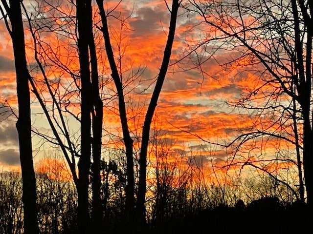 view of nature at dusk