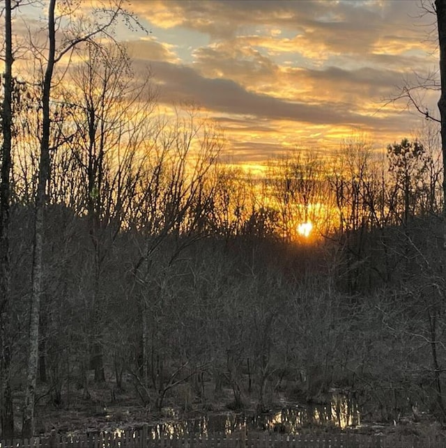 view of nature at dusk