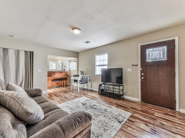 living room with wood-type flooring