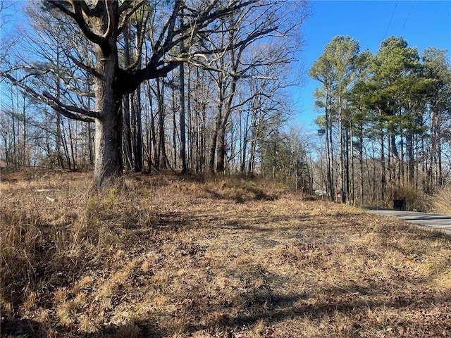 01 Thompson Ln, Jasper GA, 30143 land for sale