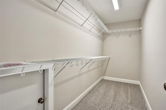 spacious closet with carpet flooring