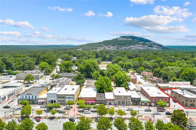 birds eye view of property featuring a mountain view and a view of trees