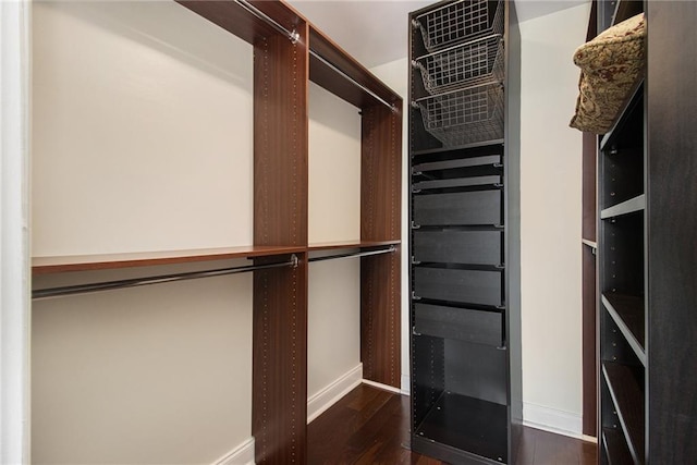 walk in closet with dark wood finished floors