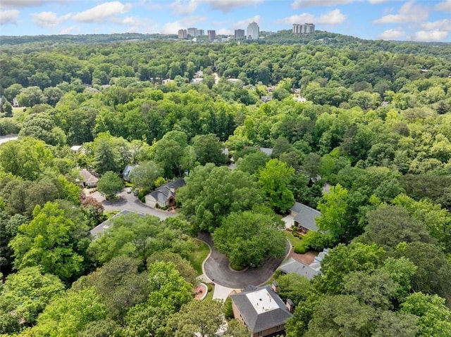 bird's eye view of a forest