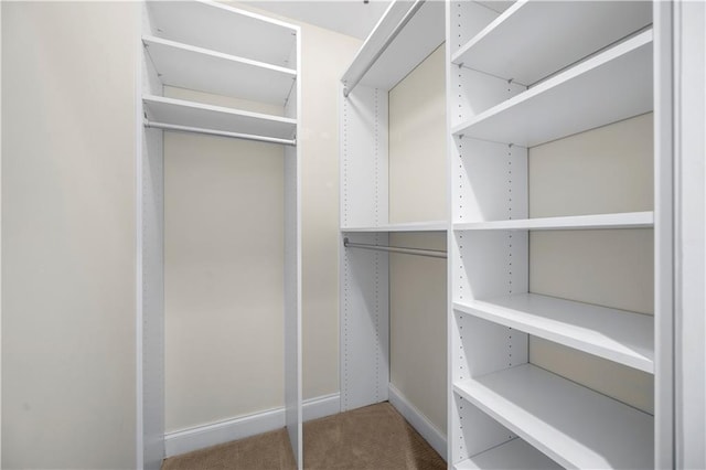 50 Biscayne Dr NW Unit 2113, Atlanta, GA 30309 - walk in closet with carpet flooring