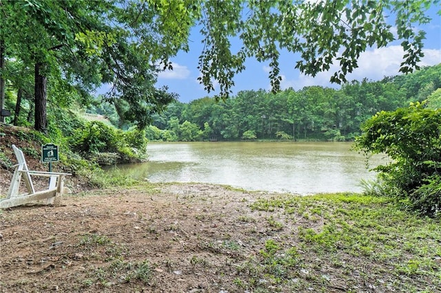 water view with a wooded view