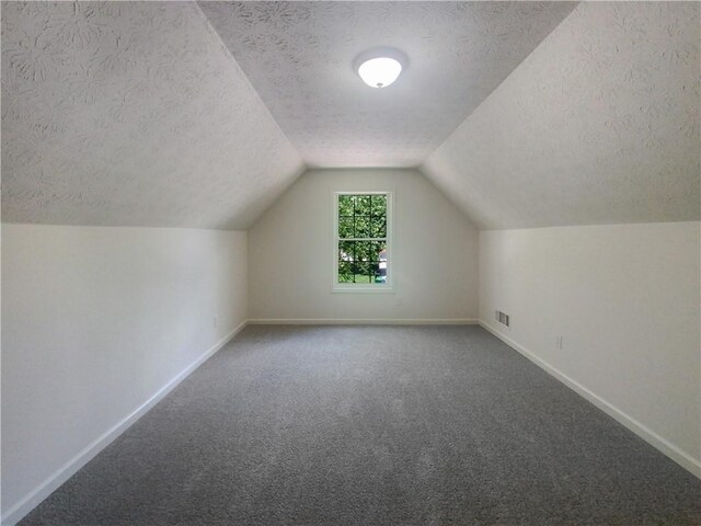 additional living space with carpet flooring, a textured ceiling, and lofted ceiling