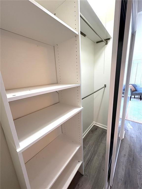 spacious closet featuring dark wood finished floors