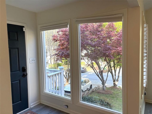 entryway with baseboards, a wealth of natural light, and wood finished floors
